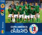 Боливия Кубок Америки 2015